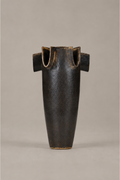 Winged Pitcher